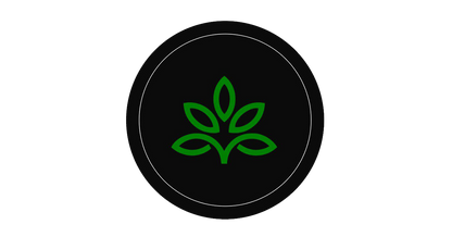 Pineapple Shilajit Gummies